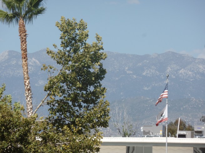 SAMSUNG CAMERA PICTURES