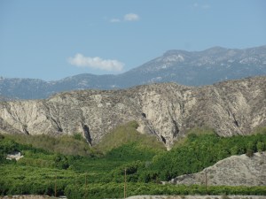 SAMSUNG CAMERA PICTURES