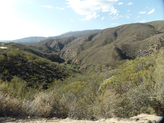 SAMSUNG CAMERA PICTURES