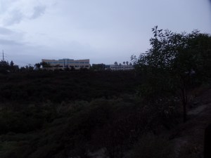 SAMSUNG CAMERA PICTURES