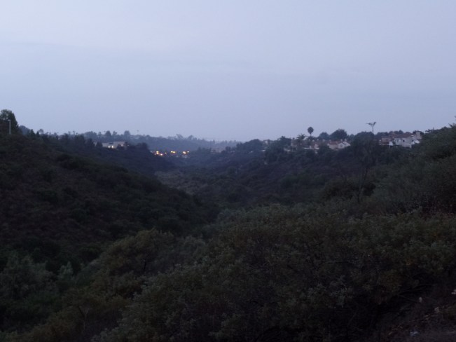 SAMSUNG CAMERA PICTURES