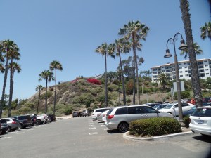 SAMSUNG CAMERA PICTURES