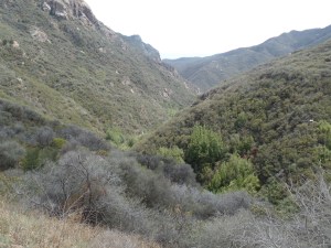 SAMSUNG CAMERA PICTURES