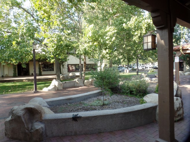 SAMSUNG CAMERA PICTURES