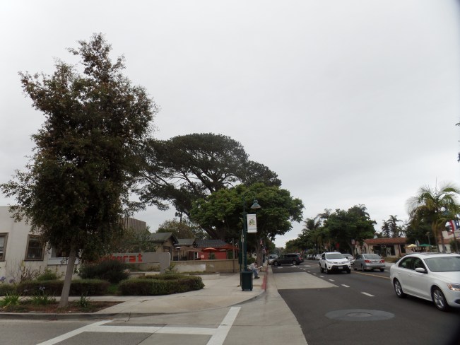 SAMSUNG CAMERA PICTURES