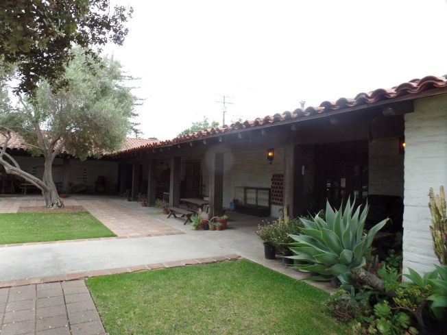 SAMSUNG CAMERA PICTURES