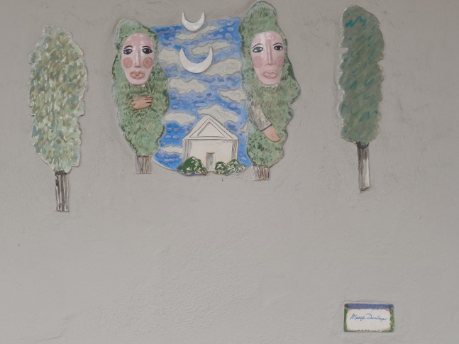 SAMSUNG CAMERA PICTURES