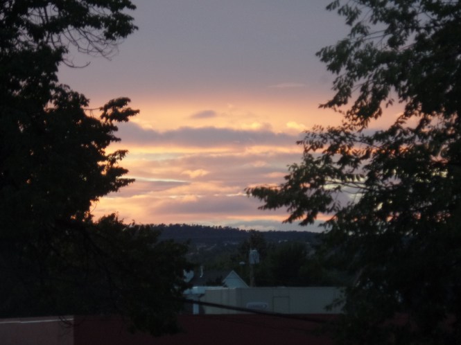 SAMSUNG CAMERA PICTURES