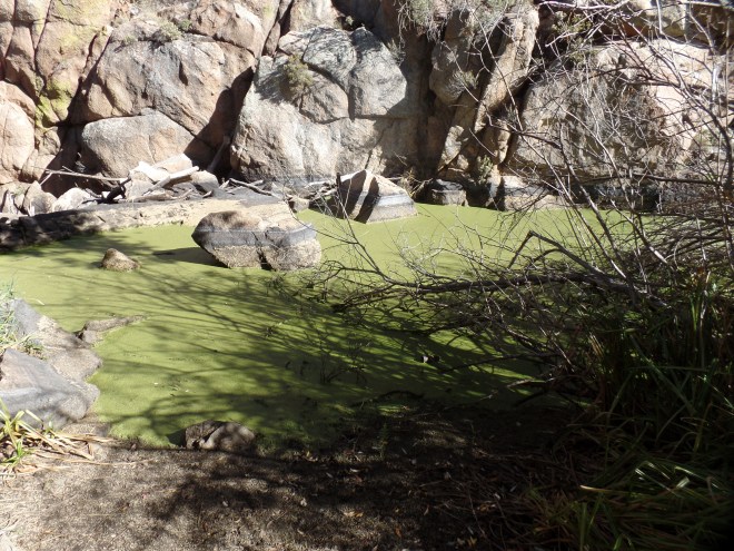 SAMSUNG CAMERA PICTURES