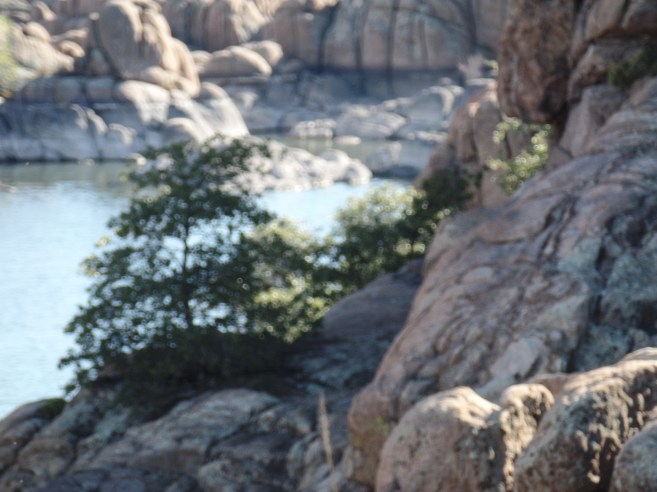 SAMSUNG CAMERA PICTURES