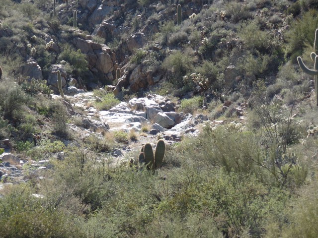 SAMSUNG CAMERA PICTURES