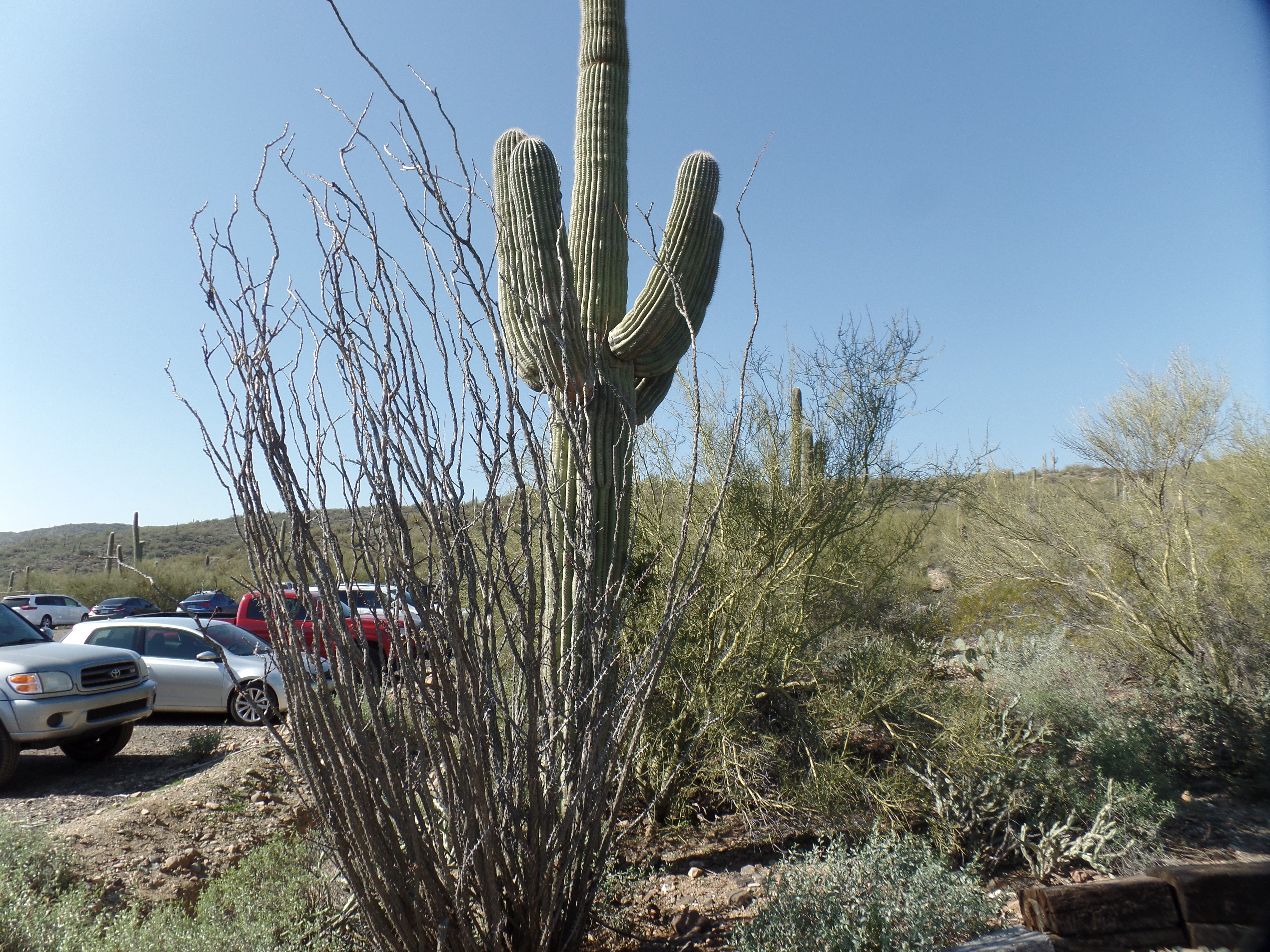 SAMSUNG CAMERA PICTURES