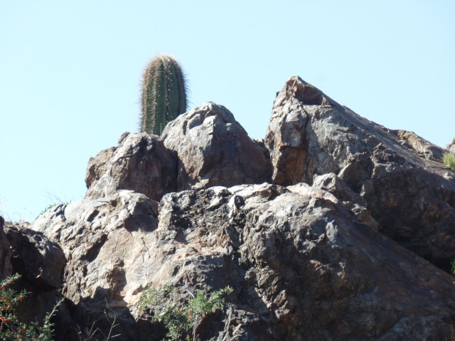 SAMSUNG CAMERA PICTURES