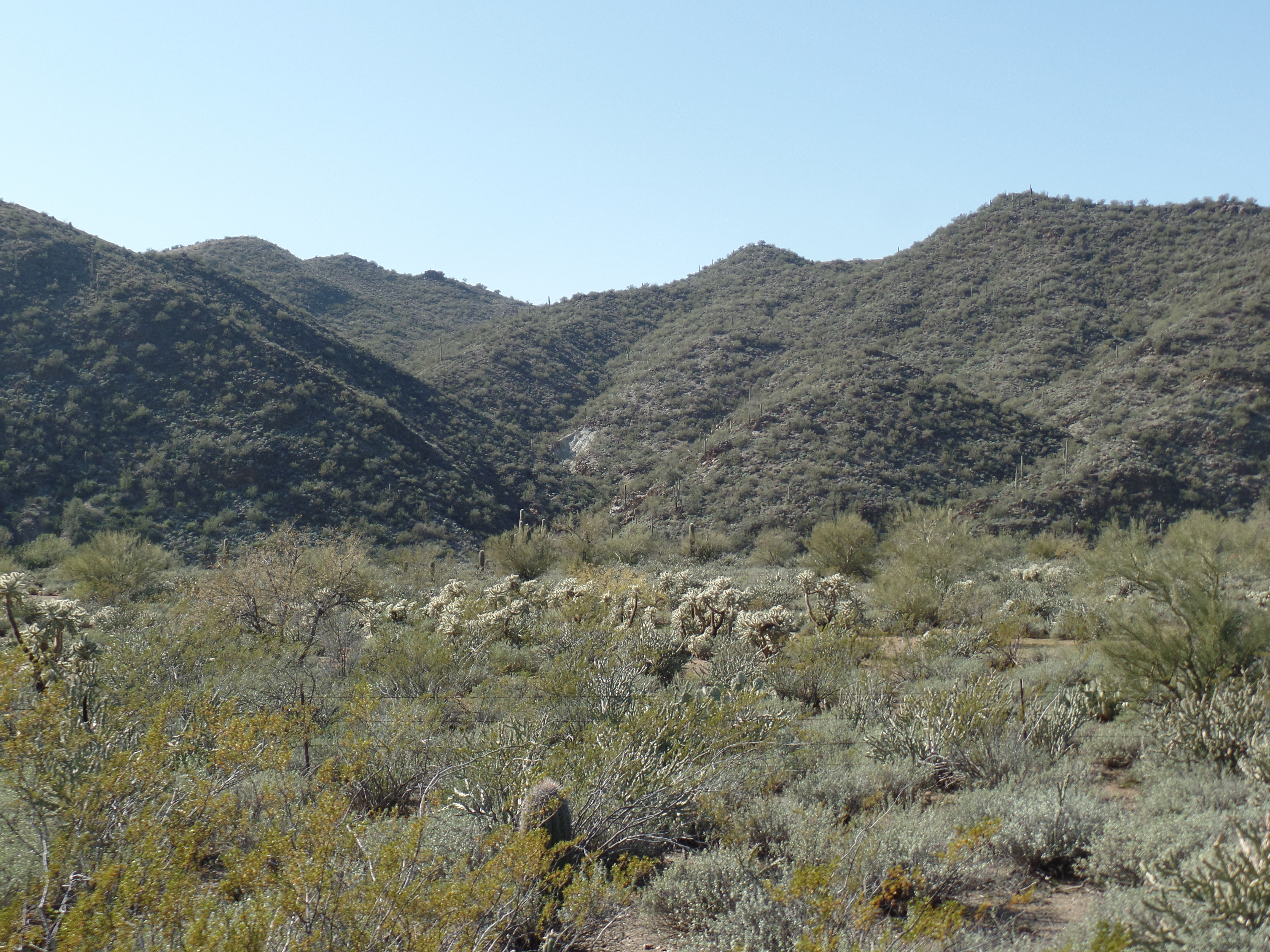 SAMSUNG CAMERA PICTURES