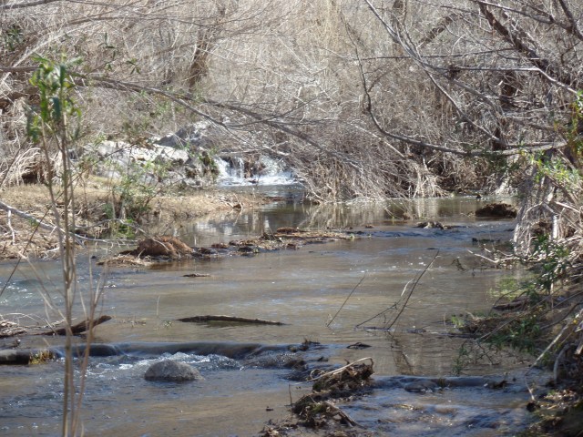 SAMSUNG CAMERA PICTURES