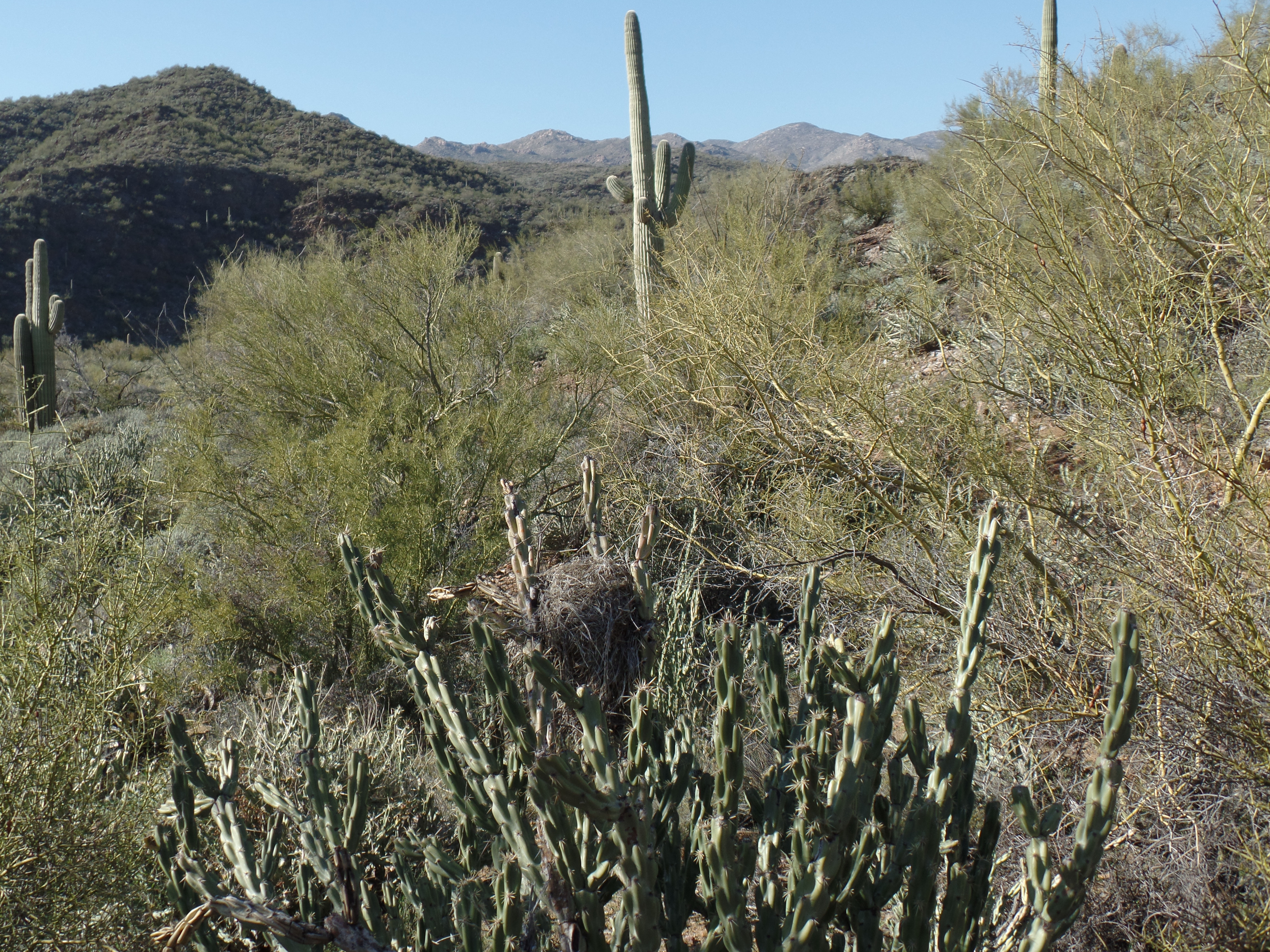 SAMSUNG CAMERA PICTURES