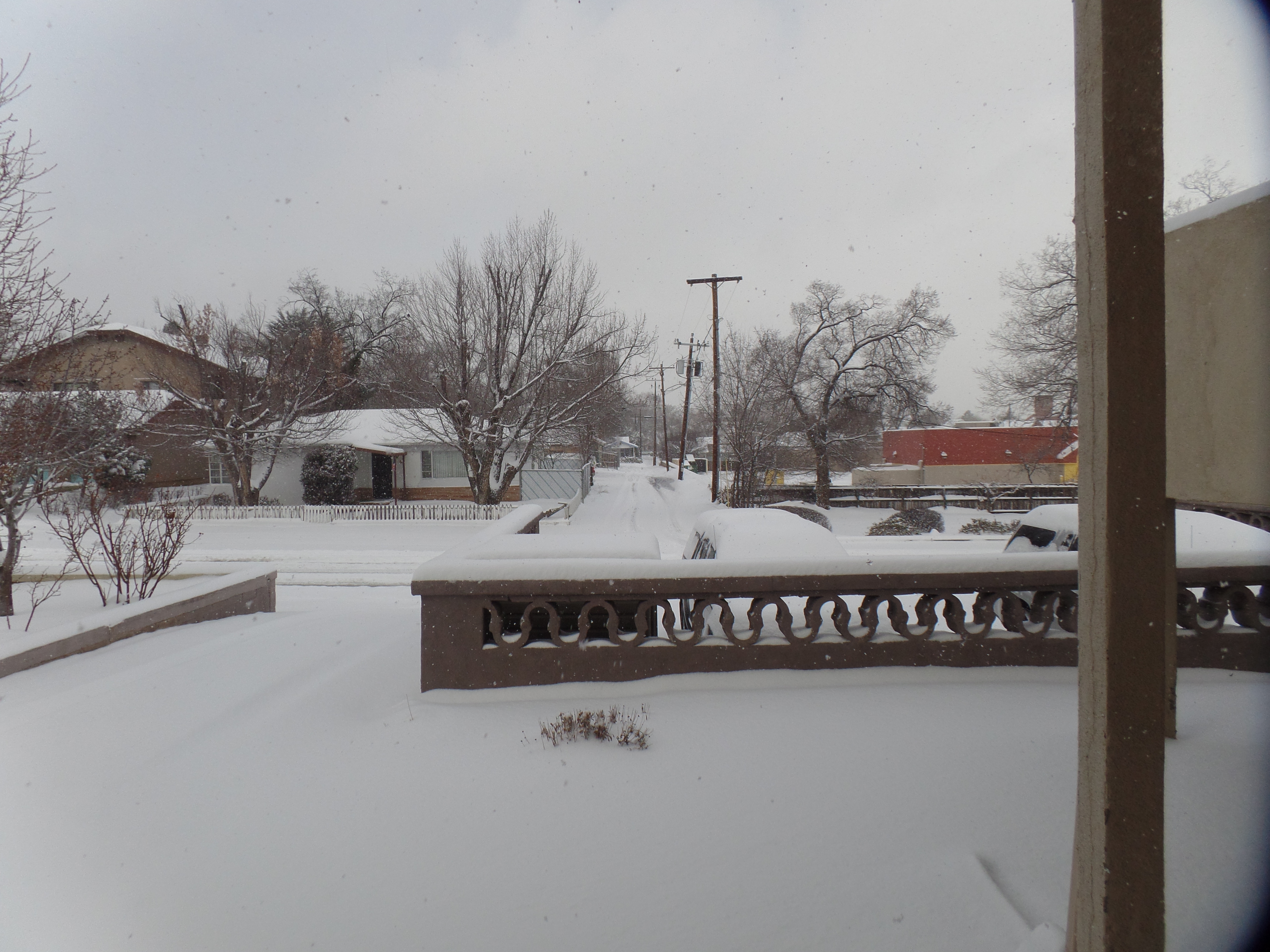 SAMSUNG CAMERA PICTURES