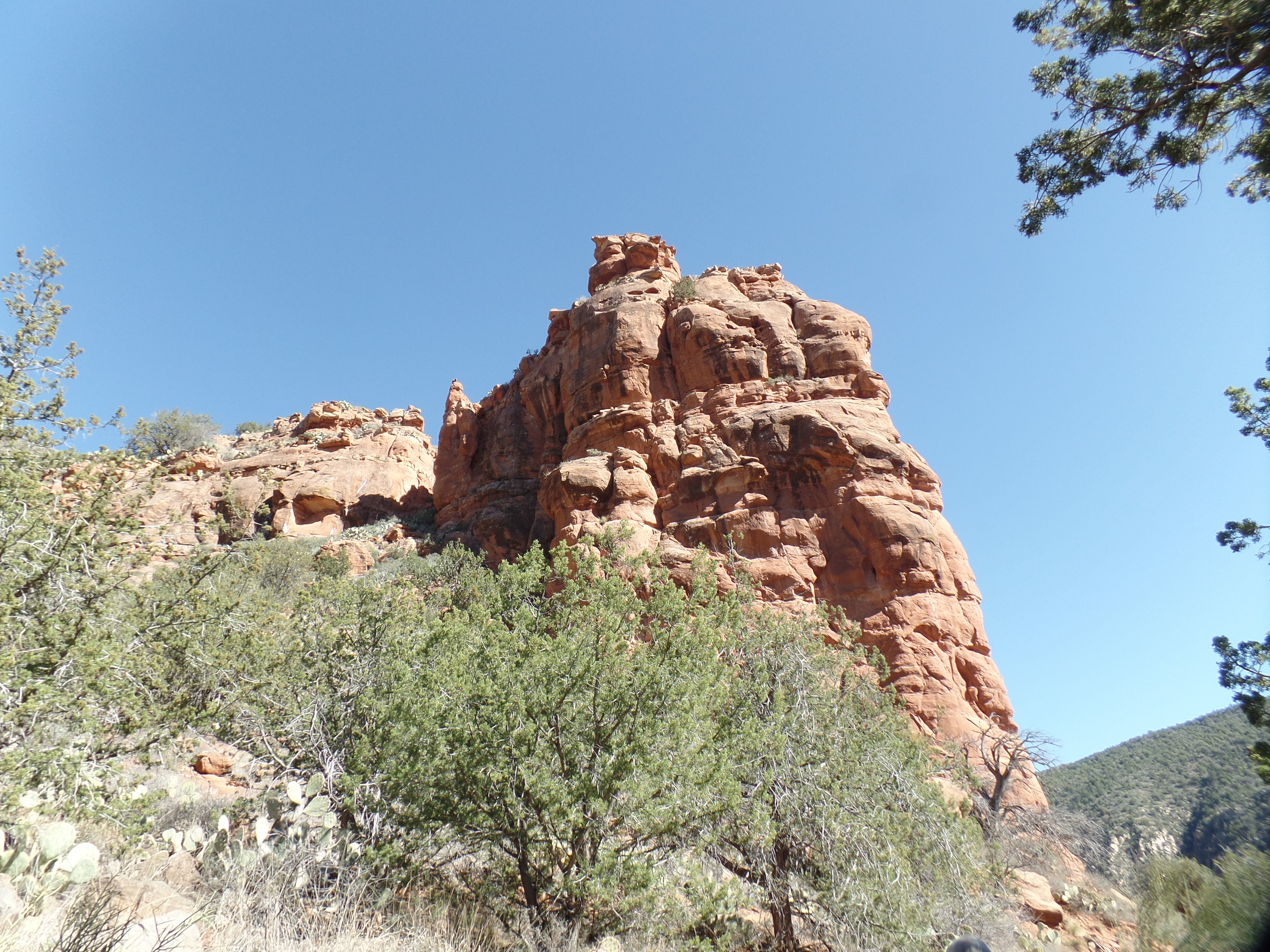 SAMSUNG CAMERA PICTURES