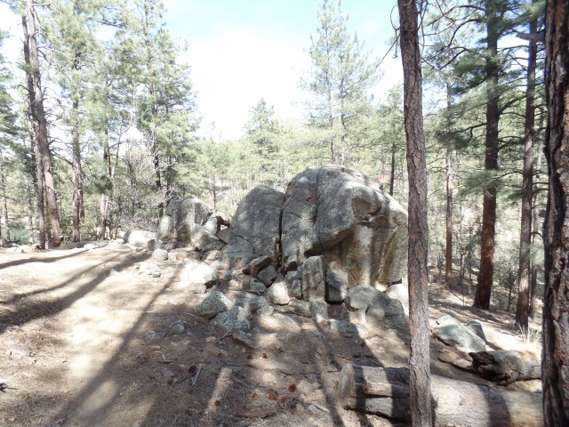 SAMSUNG CAMERA PICTURES