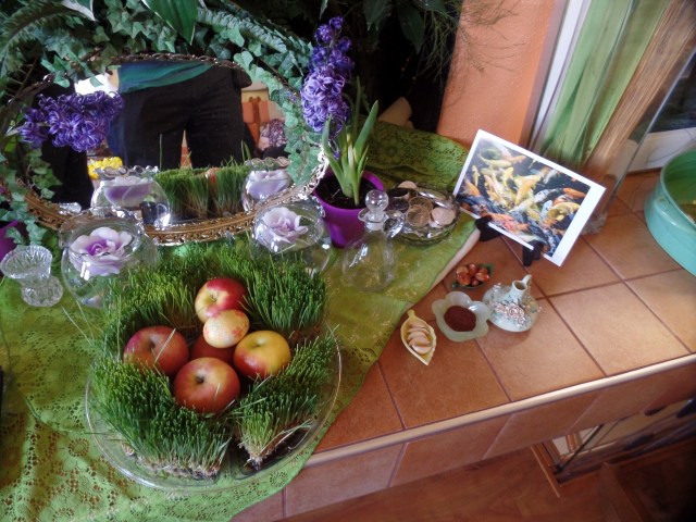 SAMSUNG CAMERA PICTURES