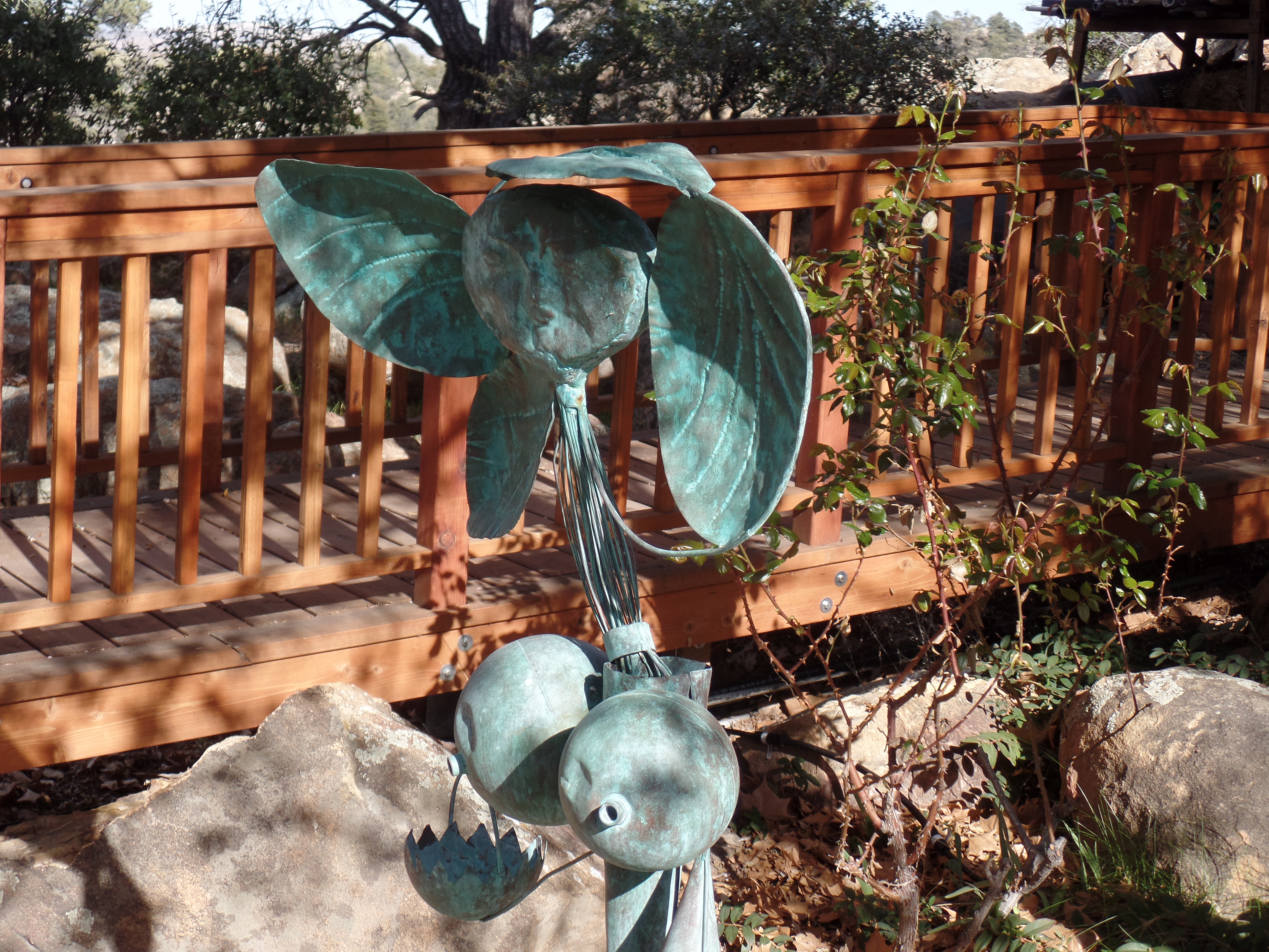 SAMSUNG CAMERA PICTURES