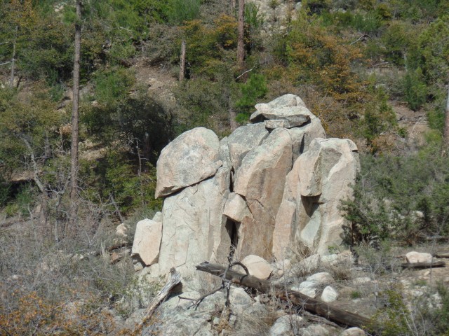 SAMSUNG CAMERA PICTURES