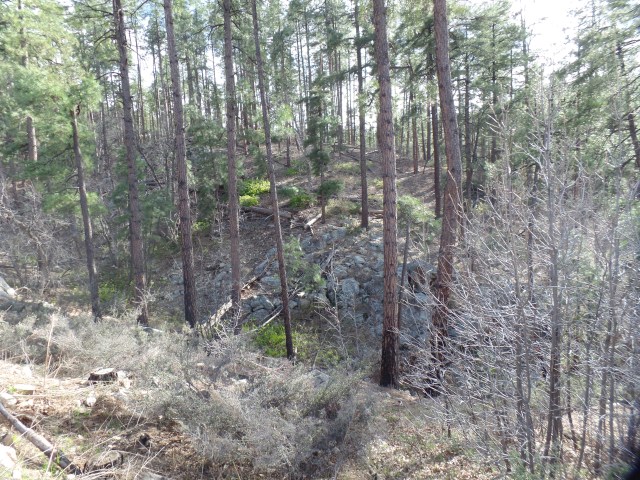 SAMSUNG CAMERA PICTURES