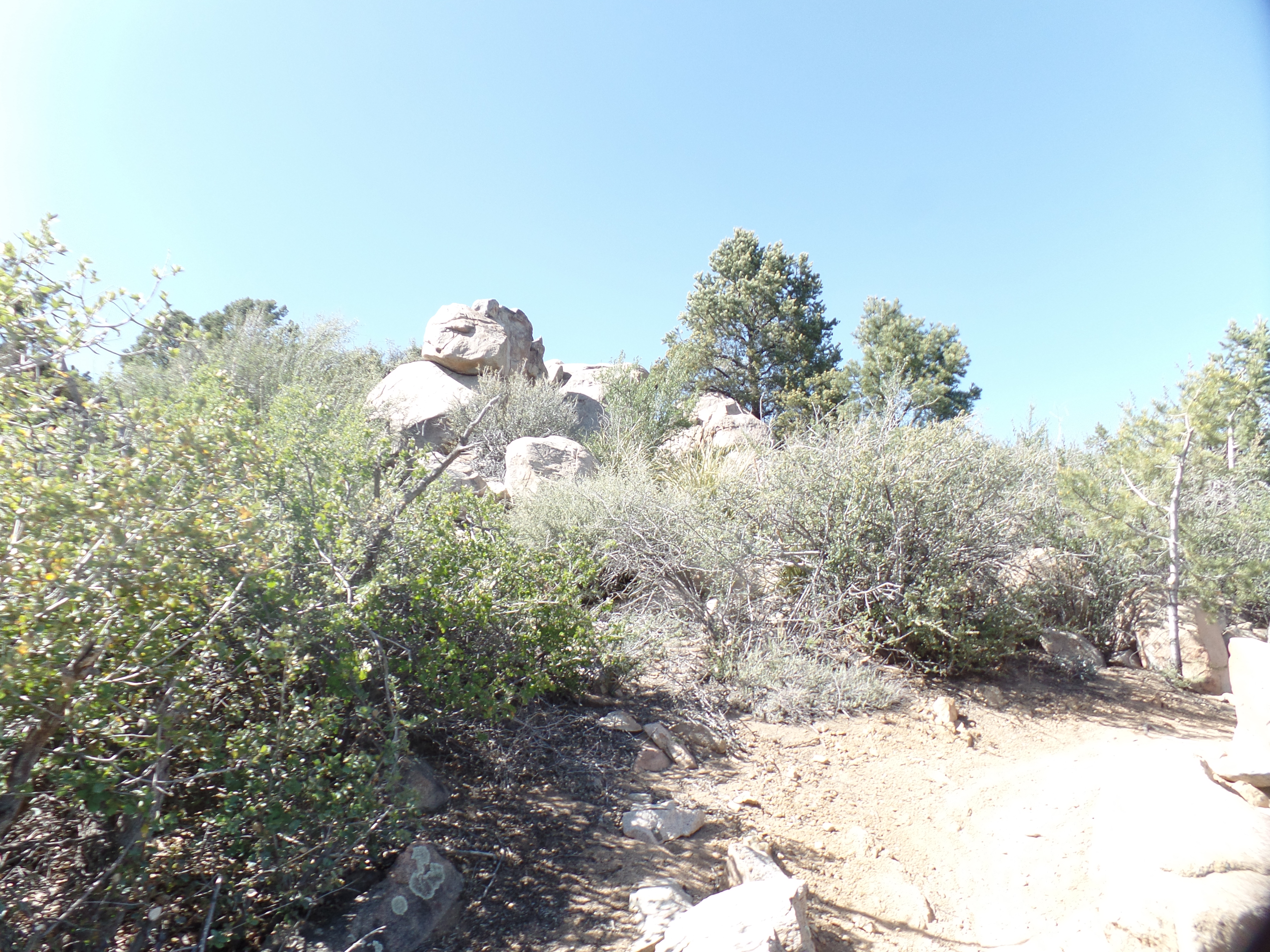 SAMSUNG CAMERA PICTURES