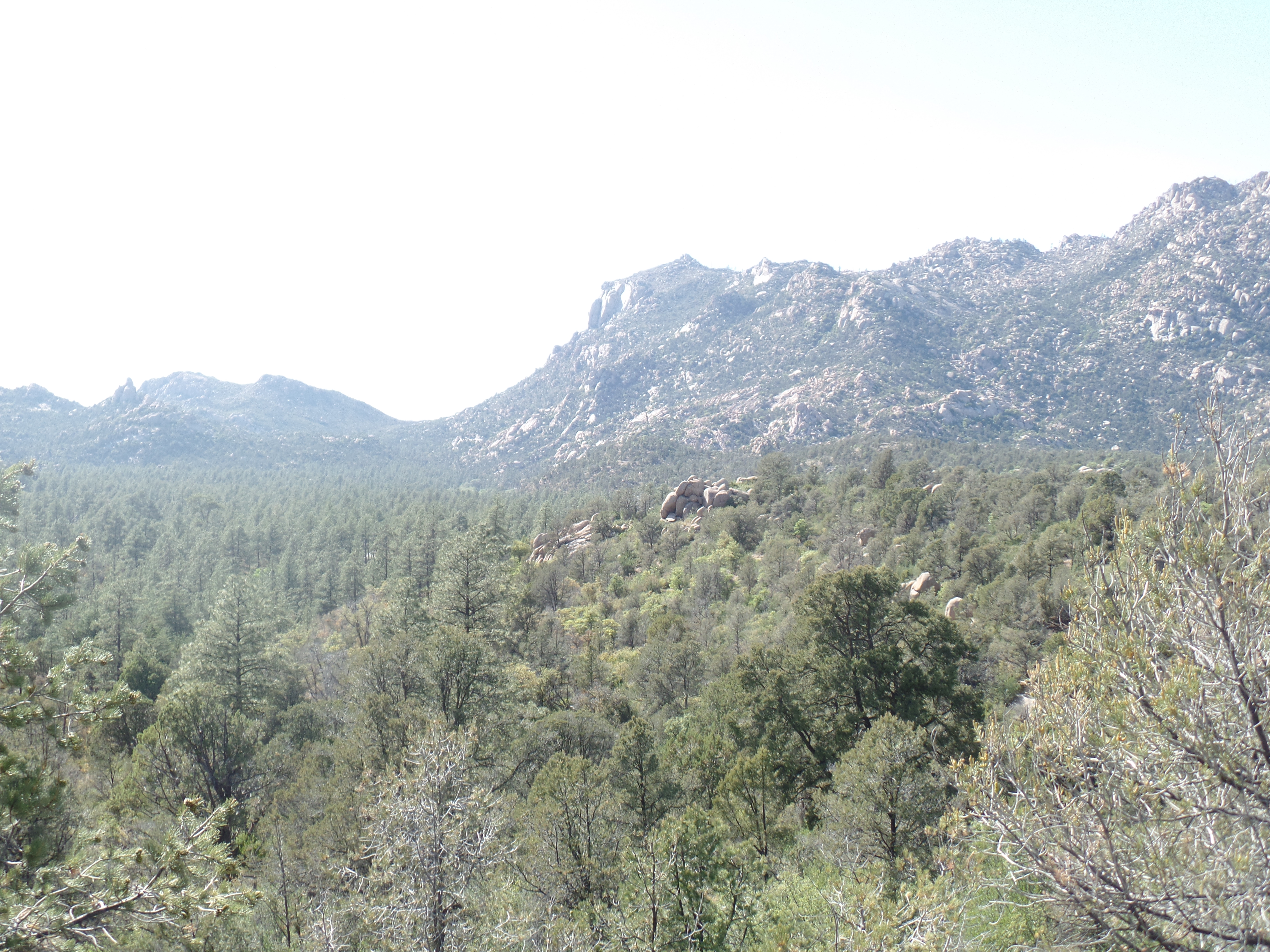 SAMSUNG CAMERA PICTURES