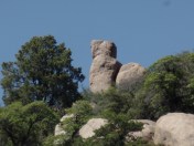 SAMSUNG CAMERA PICTURES