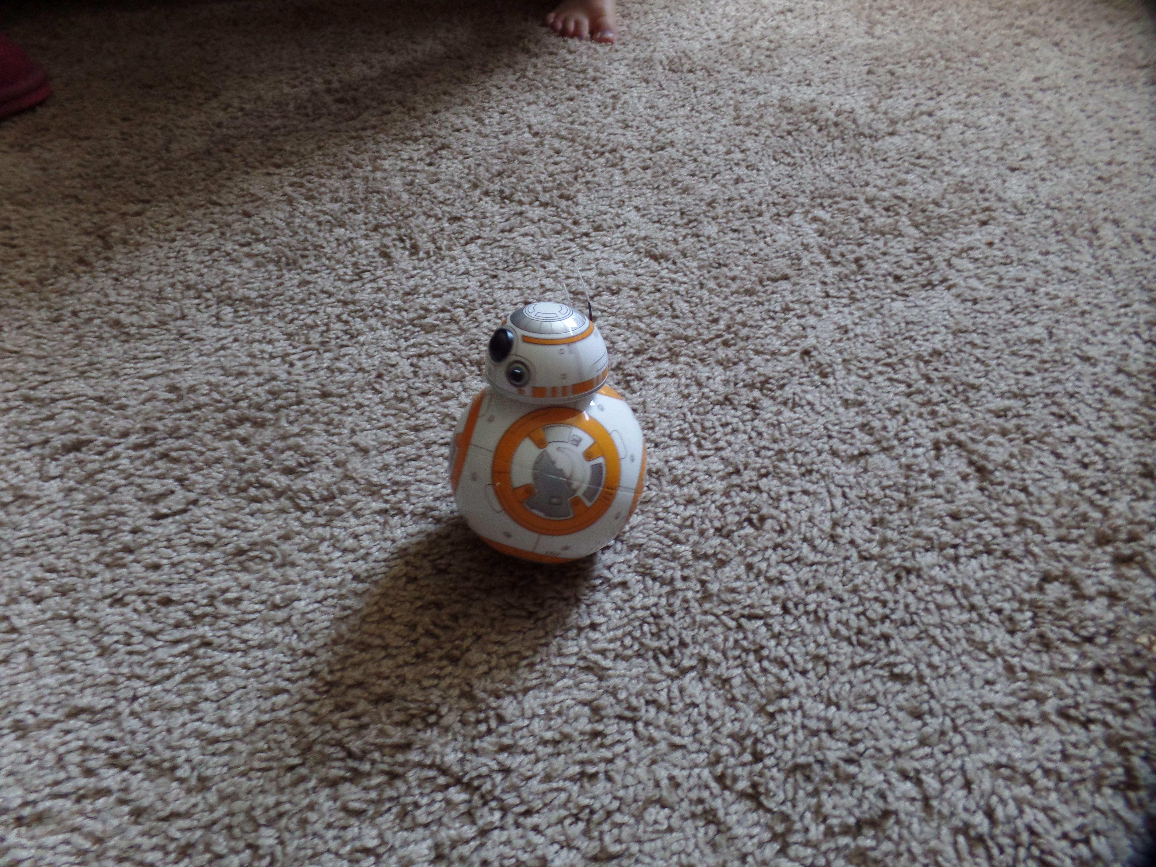 SAMSUNG CAMERA PICTURES