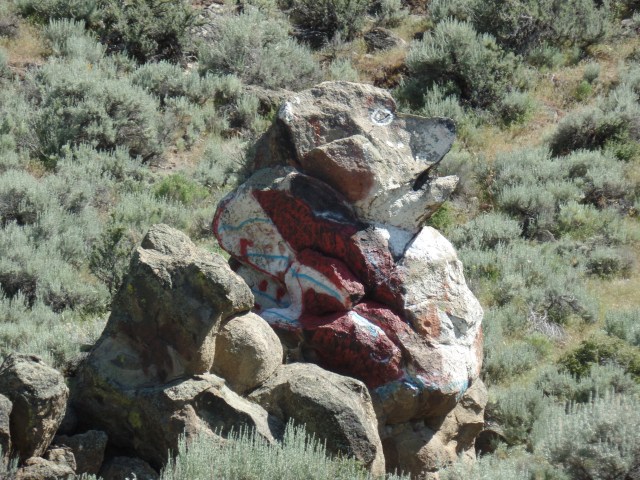 SAMSUNG CAMERA PICTURES