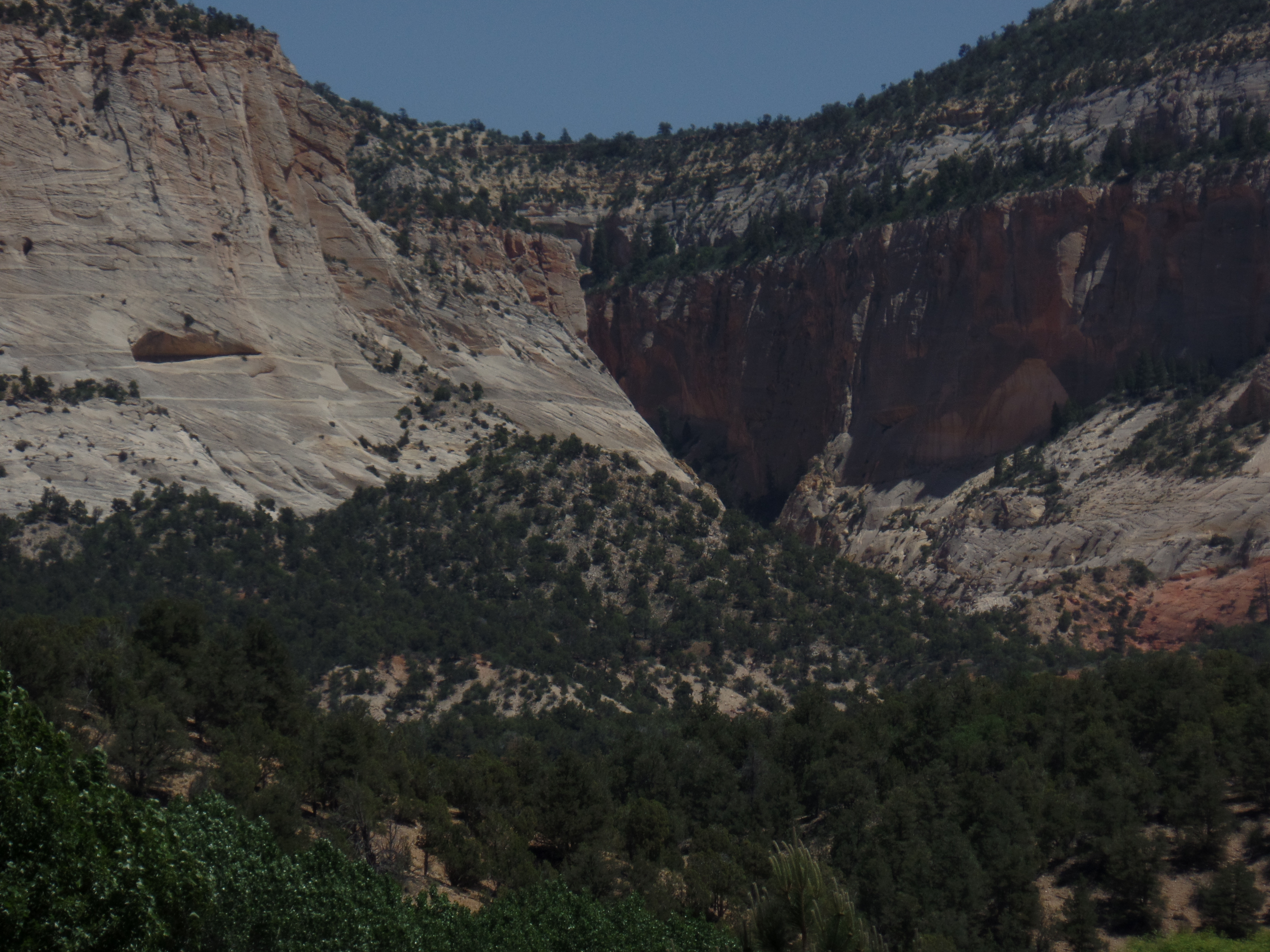 SAMSUNG CAMERA PICTURES