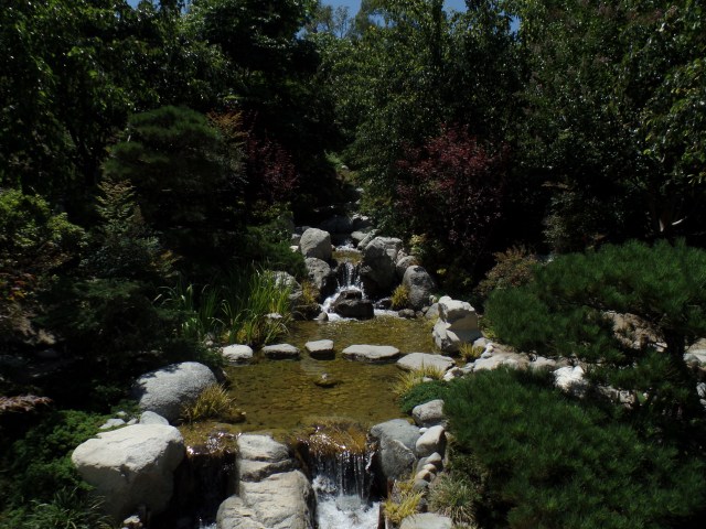 SAMSUNG CAMERA PICTURES