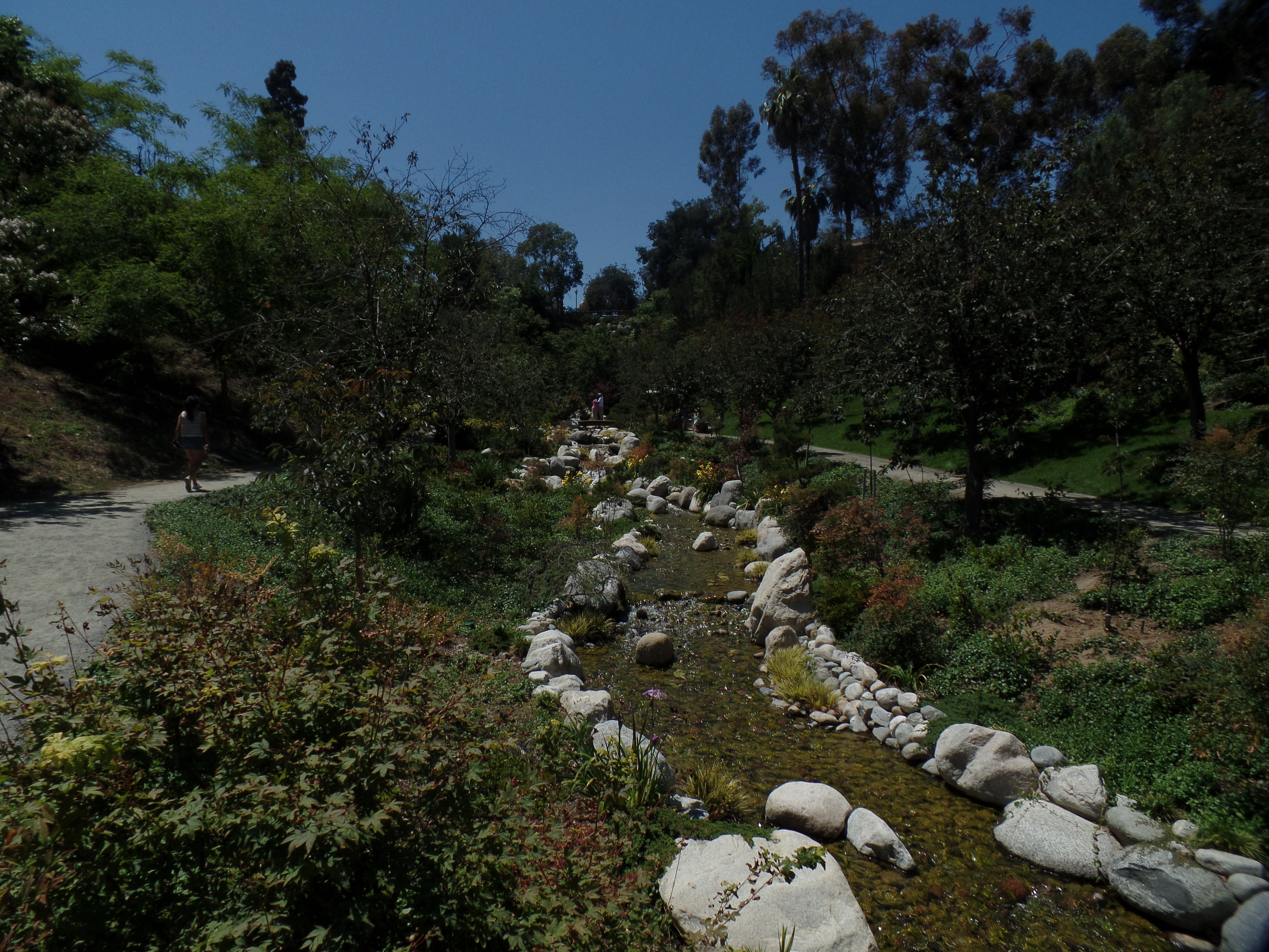 SAMSUNG CAMERA PICTURES