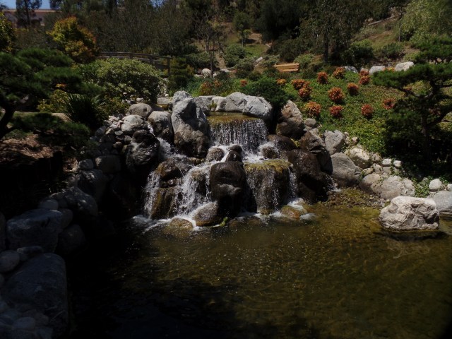 SAMSUNG CAMERA PICTURES