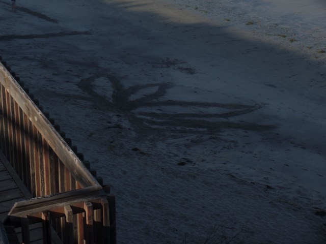 SAMSUNG CAMERA PICTURES