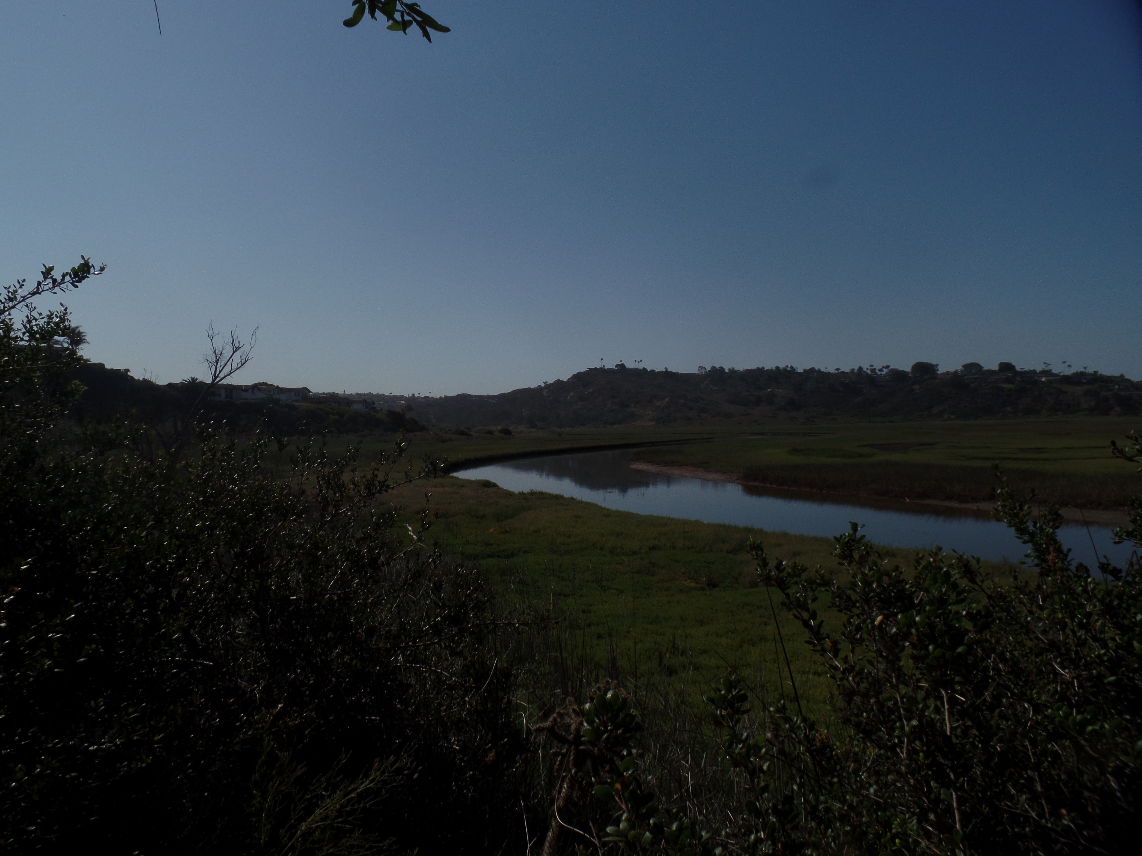 SAMSUNG CAMERA PICTURES