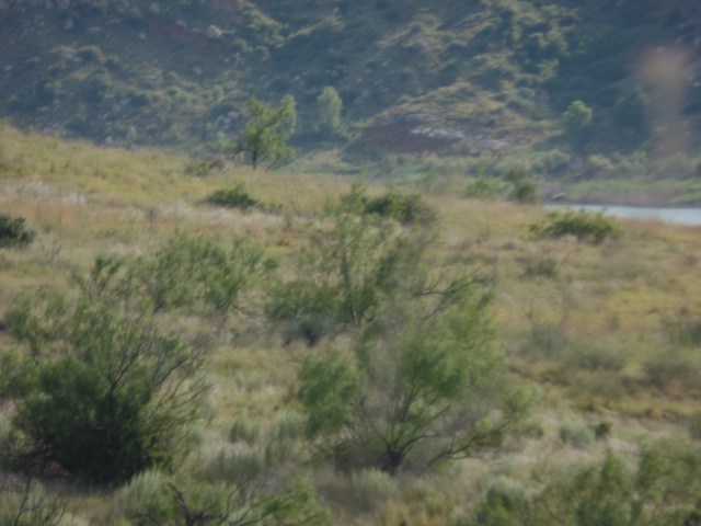 SAMSUNG CAMERA PICTURES