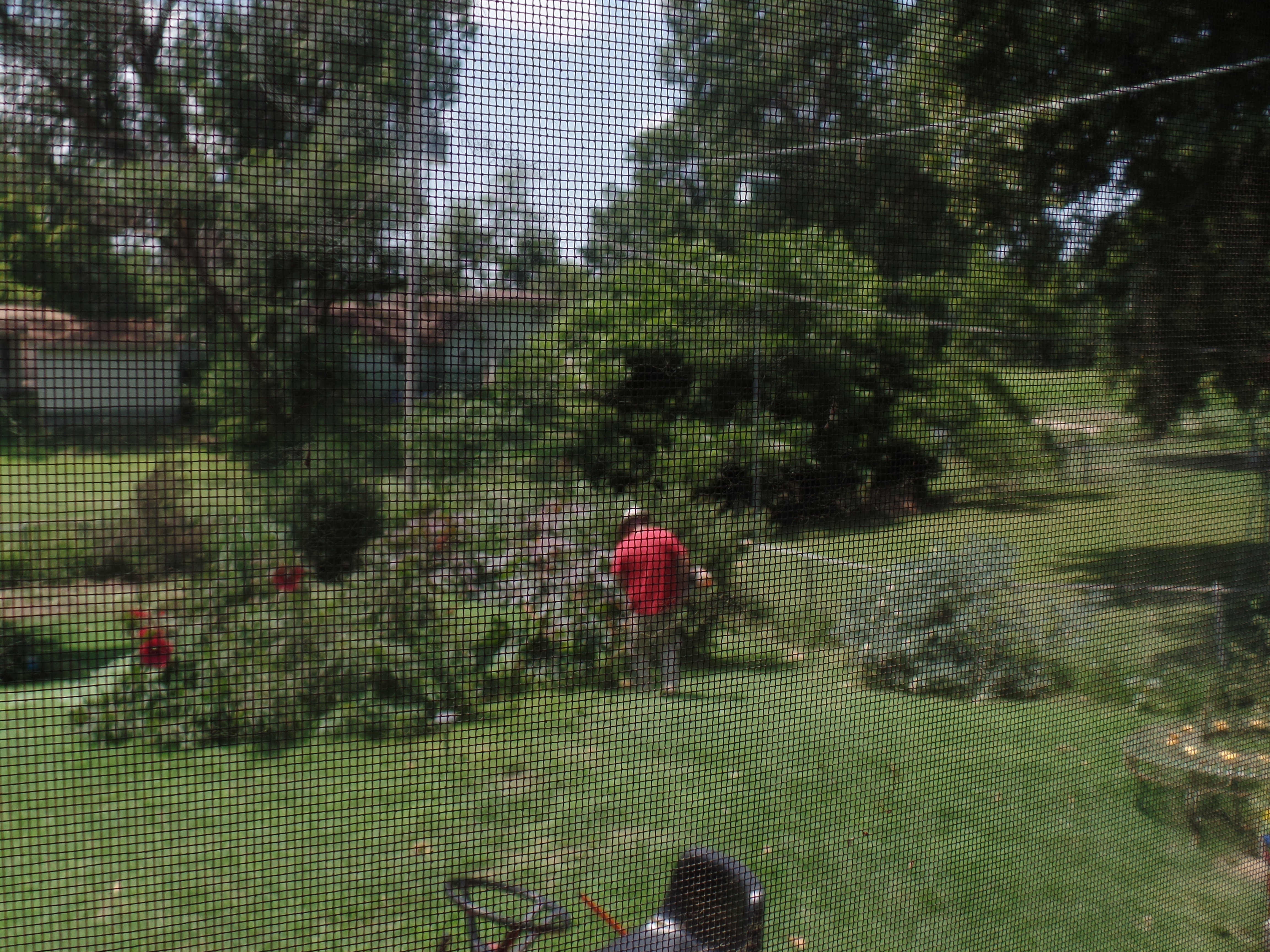 SAMSUNG CAMERA PICTURES