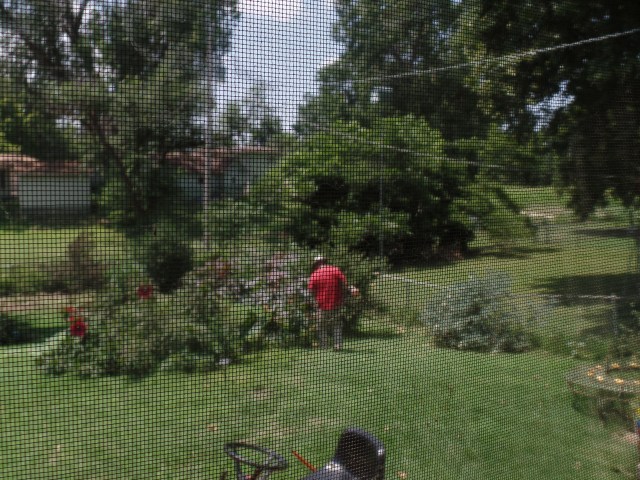 SAMSUNG CAMERA PICTURES