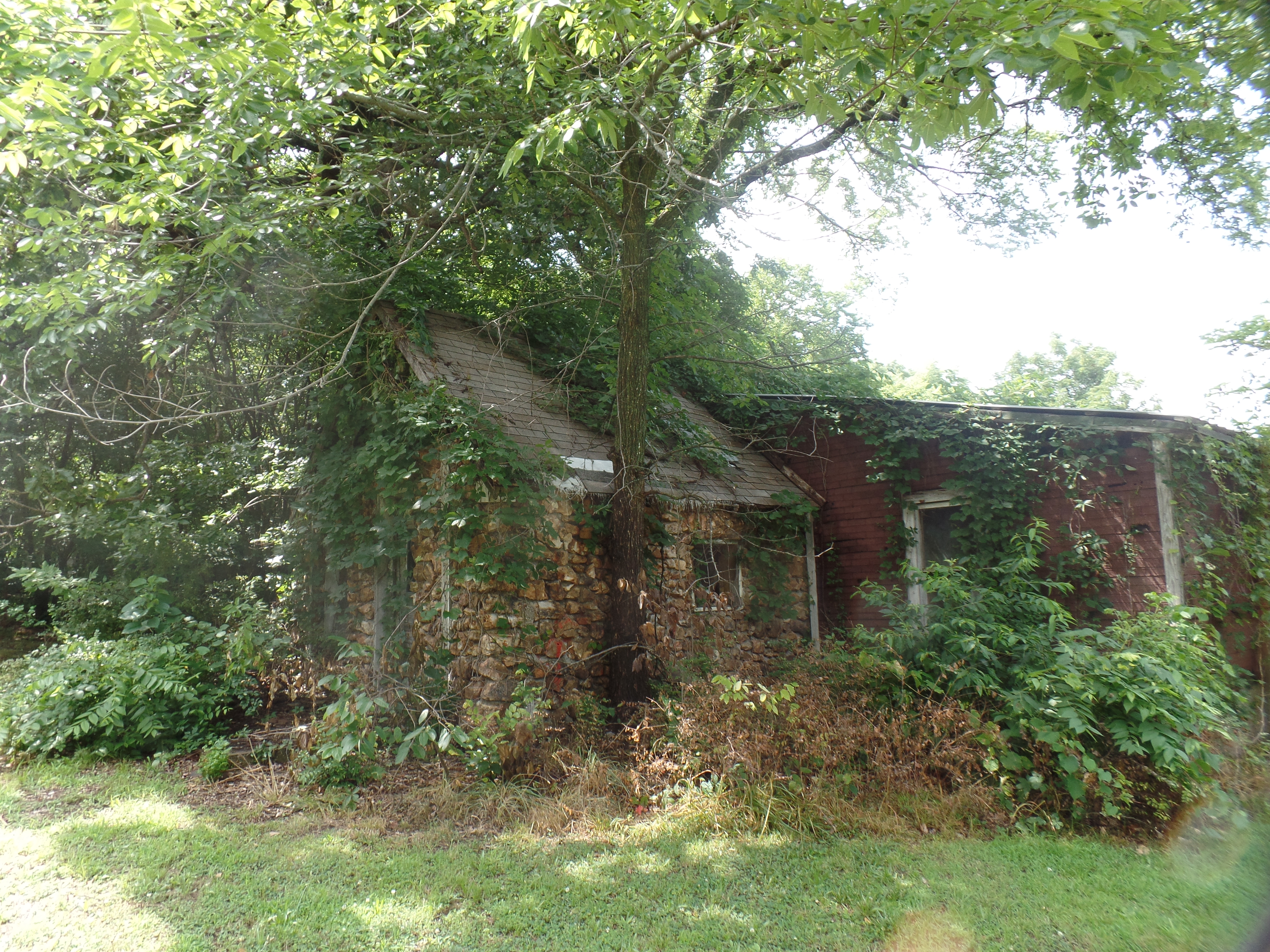 SAMSUNG CAMERA PICTURES