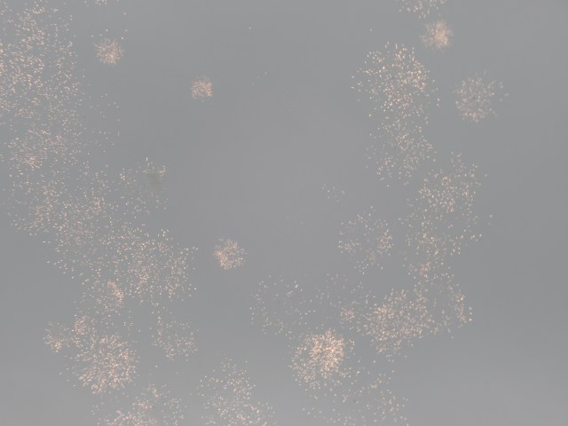 SAMSUNG CAMERA PICTURES