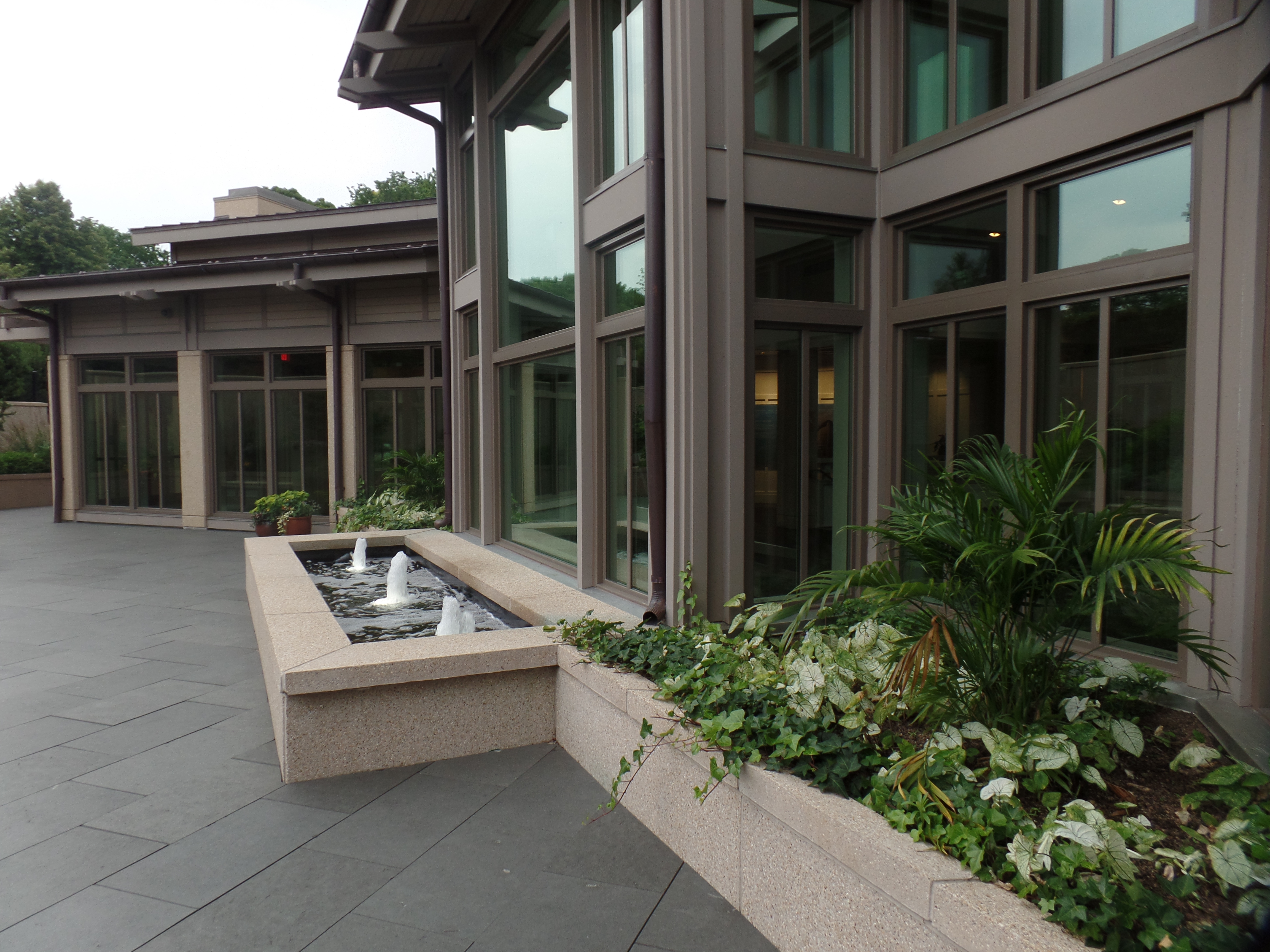 SAMSUNG CAMERA PICTURES