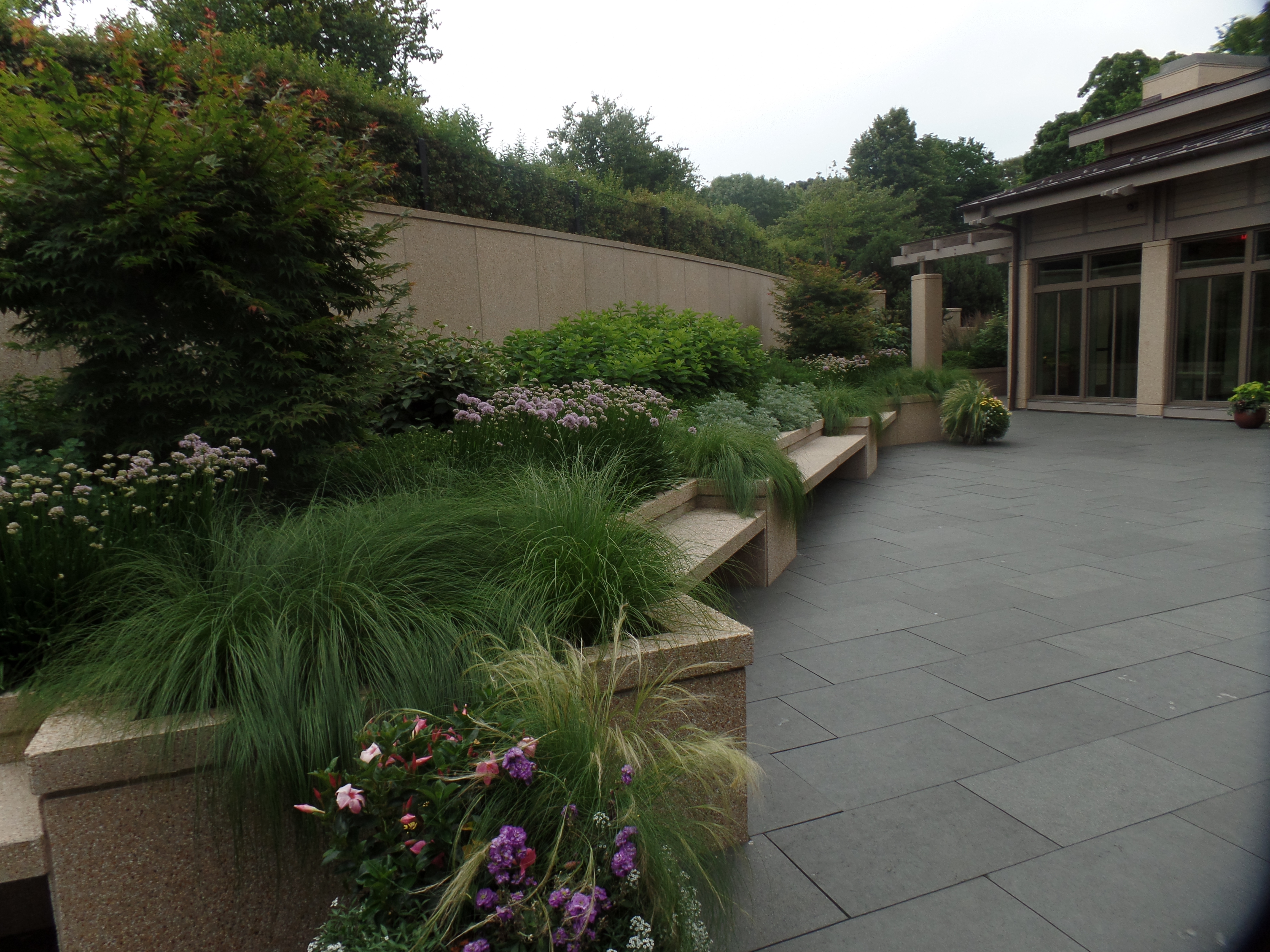 SAMSUNG CAMERA PICTURES