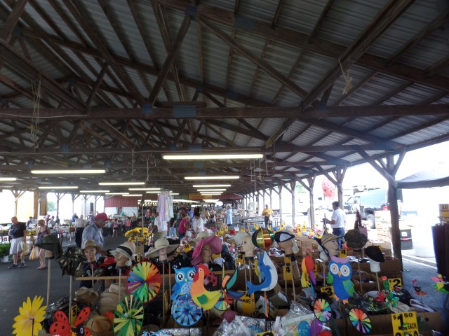 SAMSUNG CAMERA PICTURES