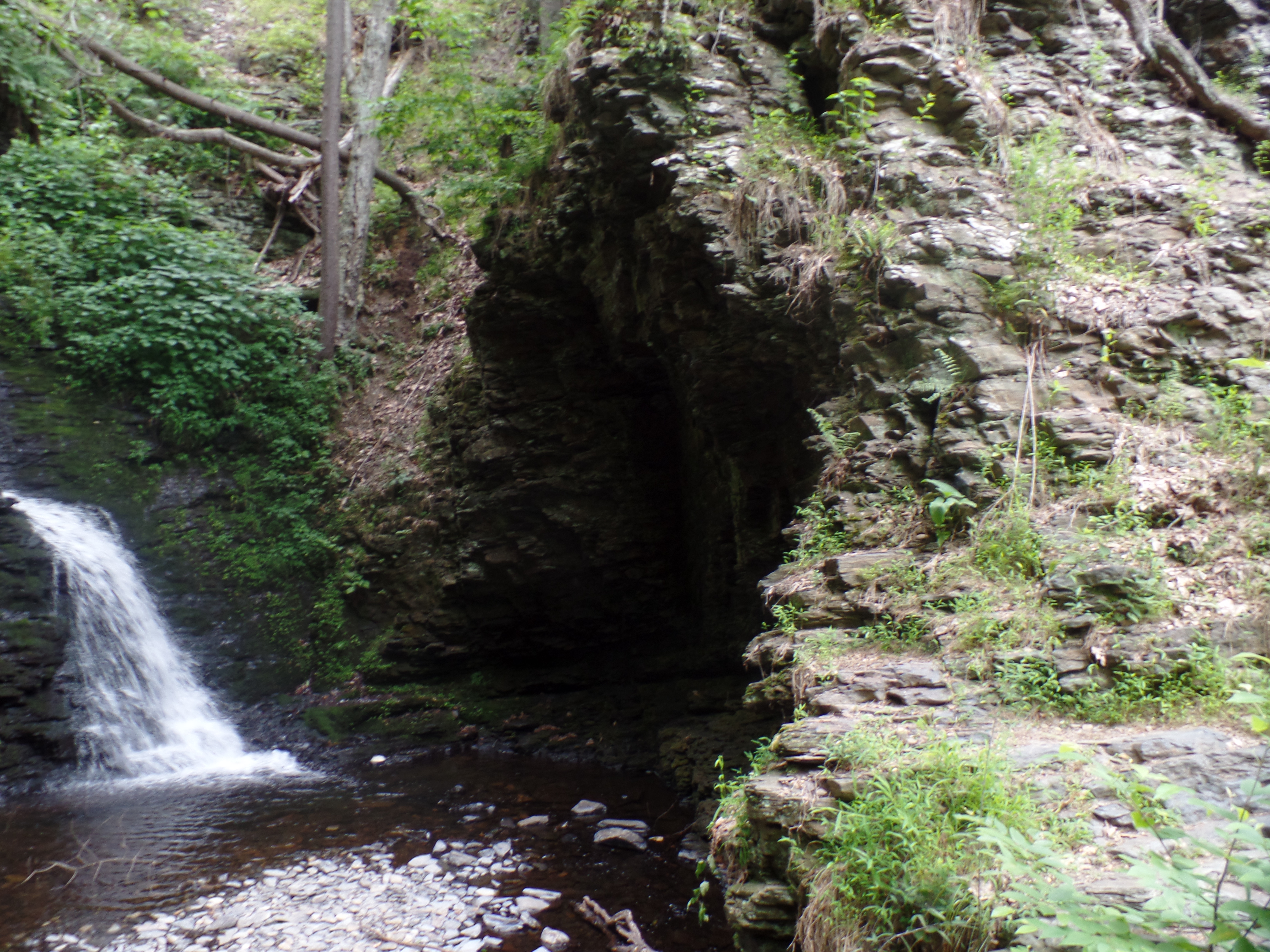 SAMSUNG CAMERA PICTURES