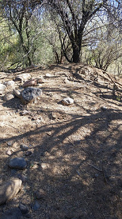 30199205884_461a152910_n