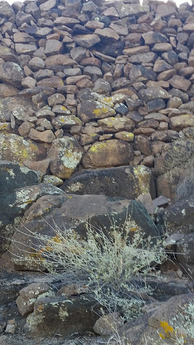 30742986821_debd505246