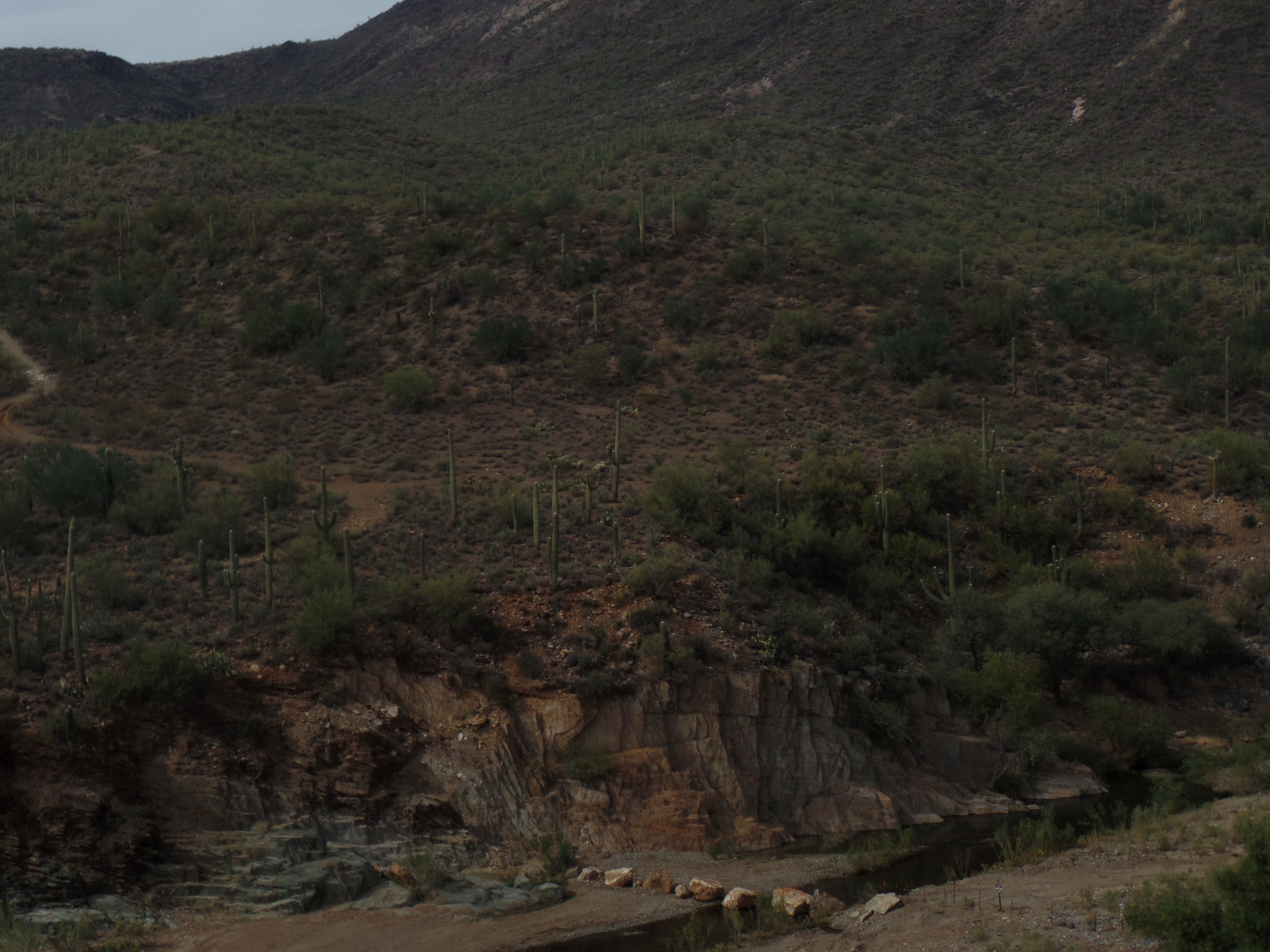 SAMSUNG CAMERA PICTURES